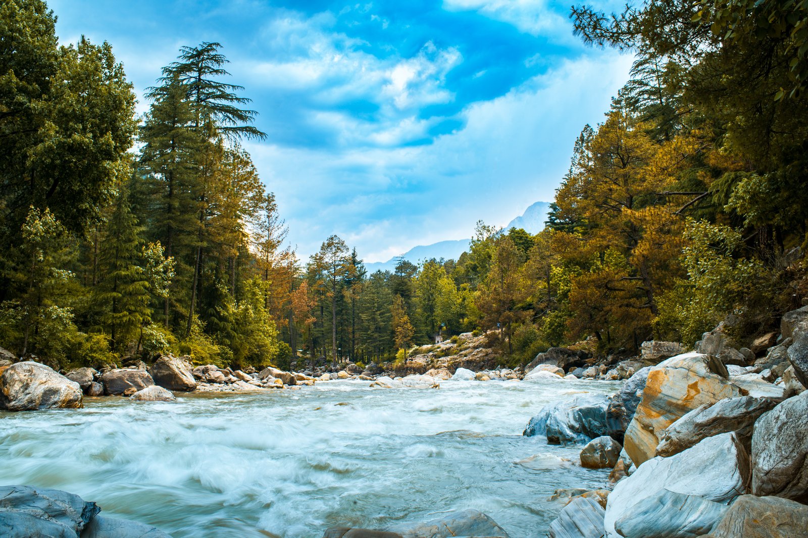 EXCLUSIVE Manali from Delhi | Free Kasol Excursion